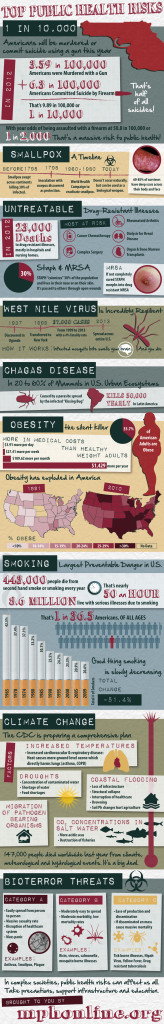 Top Public Health Risks - MPH Online