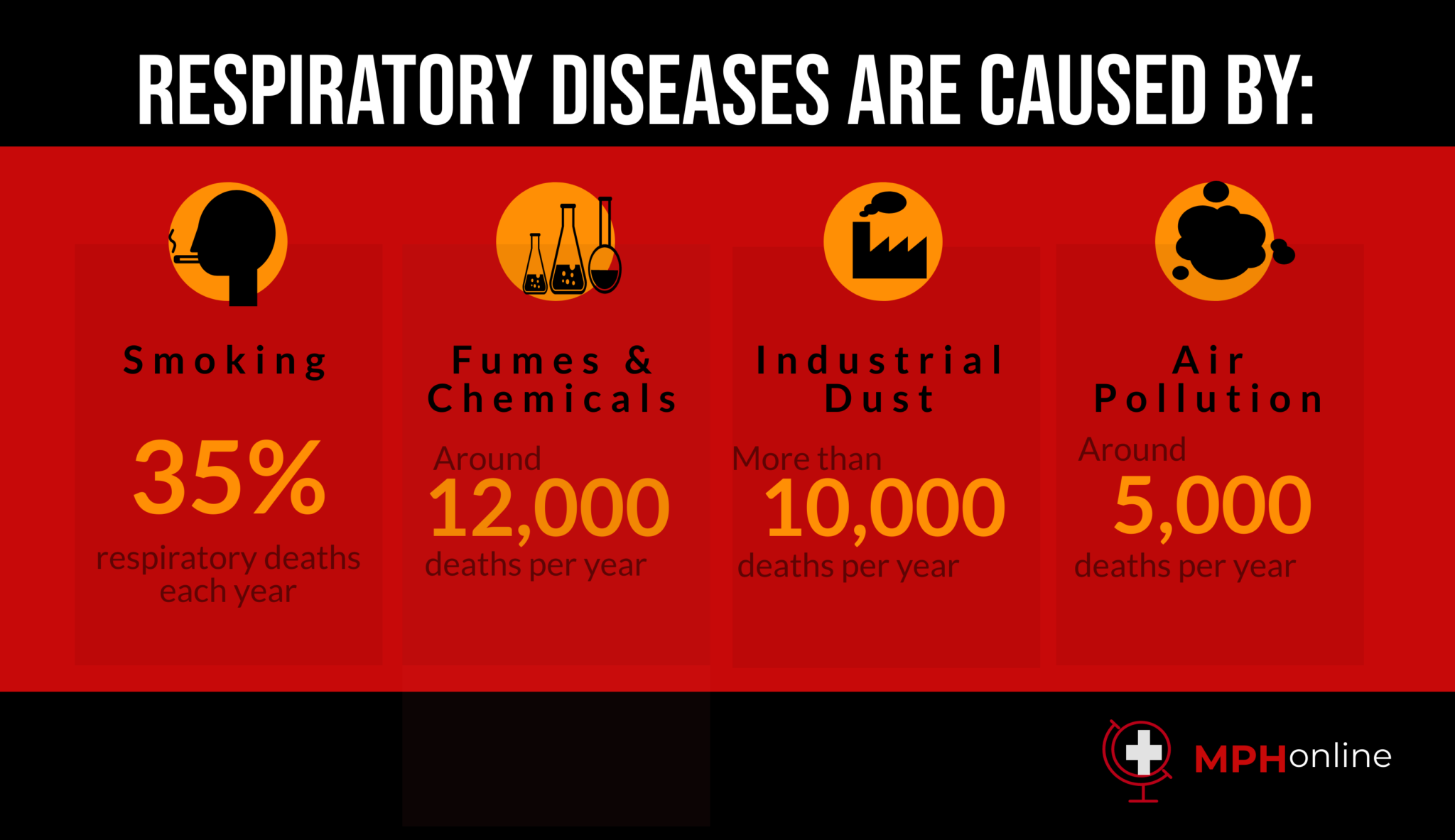 Lung diseases and public health mph online